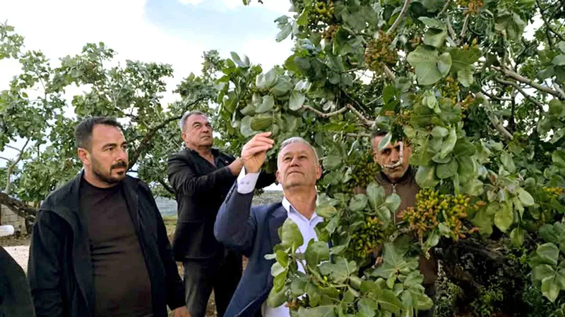 Araban Ziraat Odası Başkanı Hasan Altun, dolu ve sağanak yağışlarının