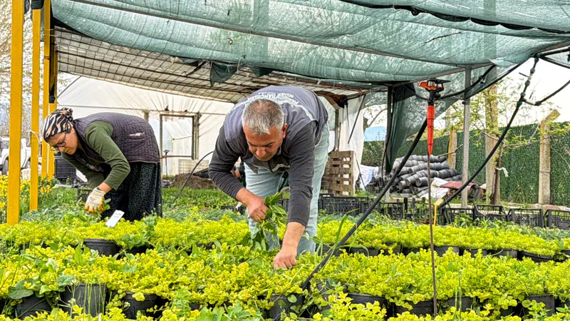 Edremit Belediyesi, iklim değişikliği ve kuraklıkla mücadelede park ve bahçelerde