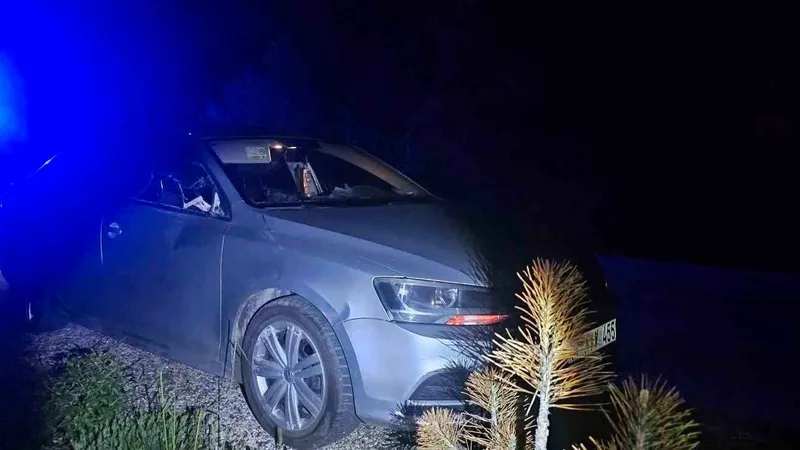 Bilecik'in Bozüyük ilçesinde yol kenarından çıkan geyik, seyir halindeki bir