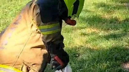 Balıkesir Gönen ilçesine bağlı Dereköy Mahallesi'nde bir işletme bahçesinde yılan