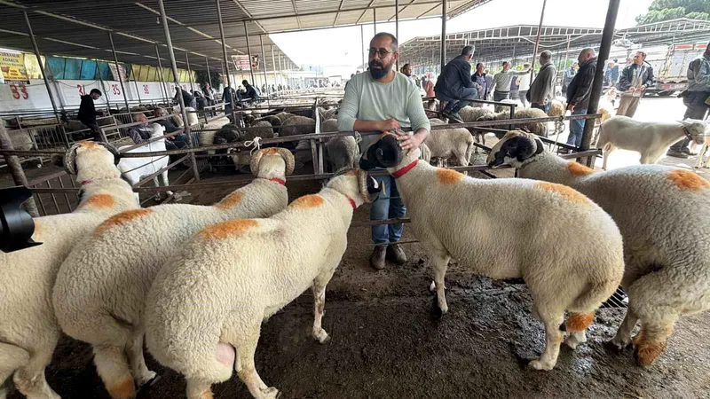 Balıkesir'in Havran ilçesinde Kurban Bayramı öncesi asırlık 'gelinlik kurban' geleneği