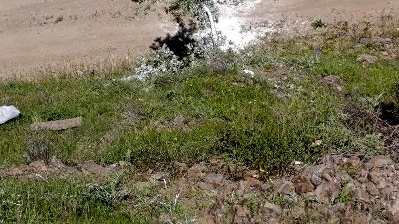 Bitlis'in Hizan ilçesinde otomobil ile tarım aracının çarpışması sonucu 1