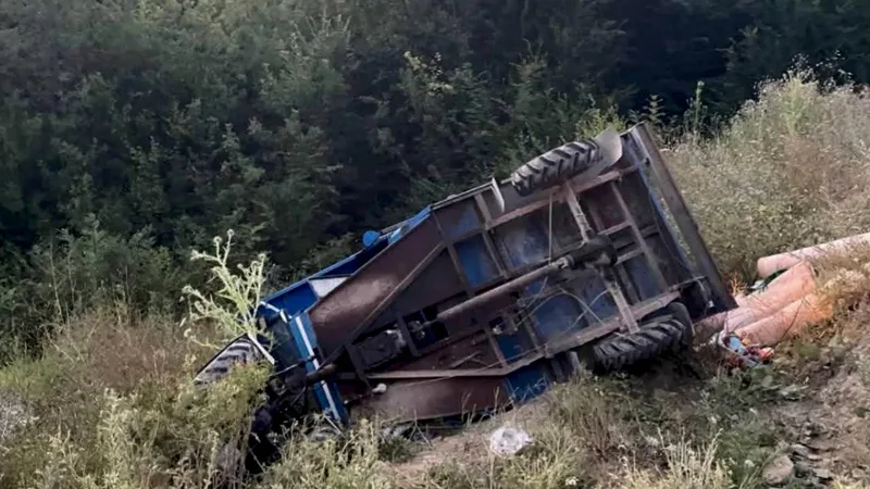 Kastamonu'nun Doğanyurt ilçesine bağlı Gözalan Köyü mevkiinde tarım aracı 'pat-pat'