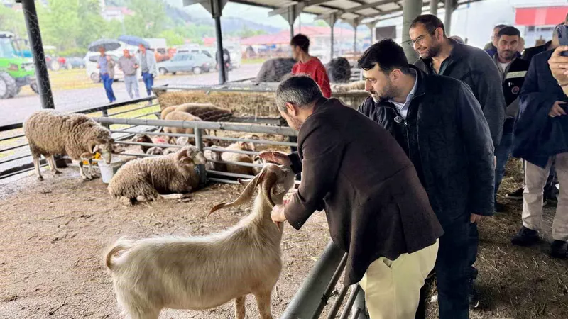 AK Parti Genel Sekreter Yardımcısı ve Karabük Milletvekili Cem Şahin