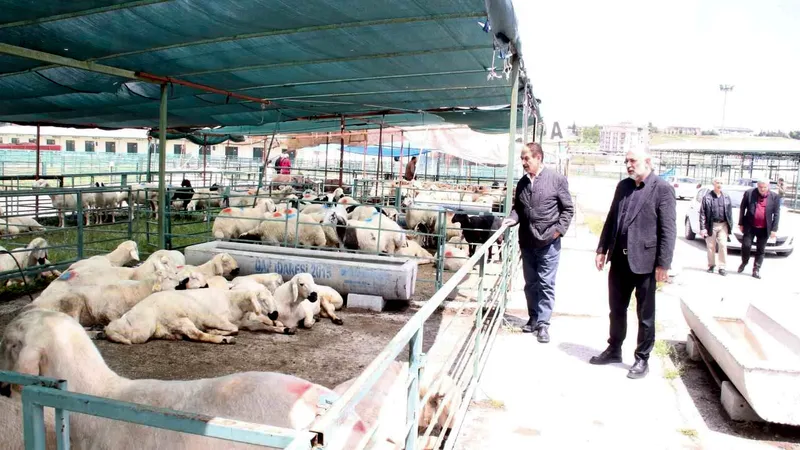 MESOB Başkanı Şevket Keskin, Malatya Canlı Hayvan Pazarı'nın tekelleştiğini ve
