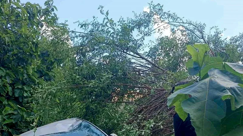 Mardin'in Nusaybin ilçesinde meydana gelen trafik kazasında 2 kişi hafif