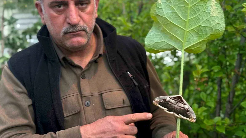 Erzurum'un Oltu ilçesinde bahar temizliği yapan bir vatandaş, bahçesinde daha
