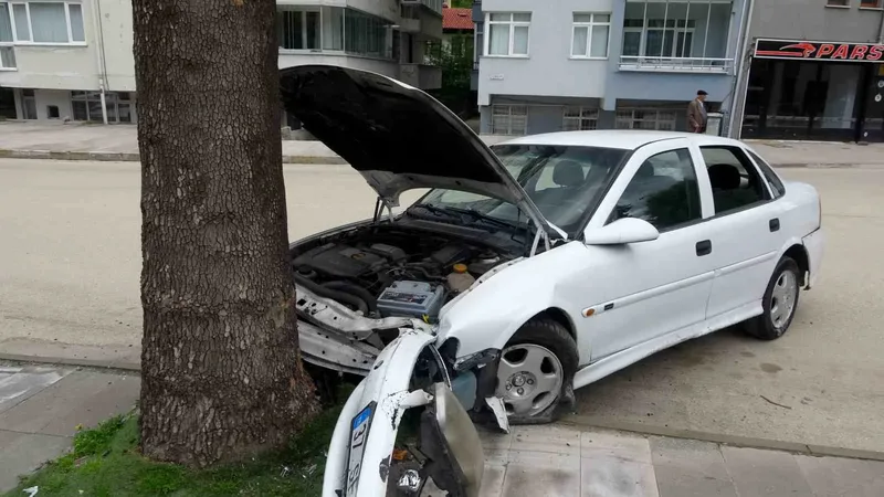 Kastamonu'da virajı alamayan otomobil, kaldırımdaki ağaca çarptı. Sürücü yaralandı.