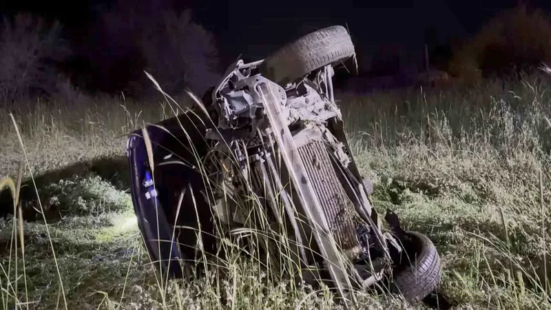 Elazığ-Bingöl karayolu Yolçatı mevkisinde meydana gelen kazada, yola çıkan domuza