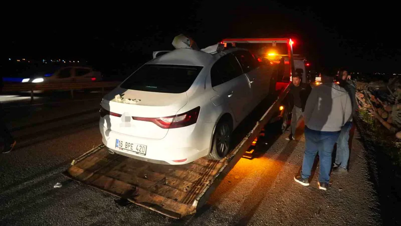 Muş-Bingöl kara yolunda seyir halindeki otomobilin yola aniden çıkan ata