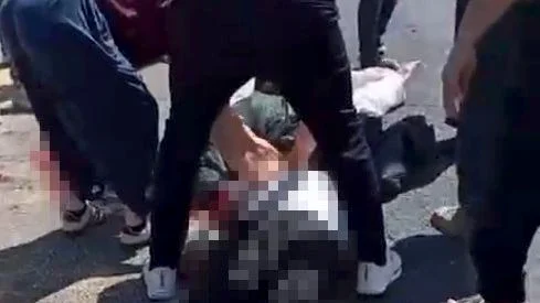 Şanlıurfa'nın Birecik ilçesinde kurbanlık hayvan yüklü kamyonetin devrilmesi sonucu sürücü