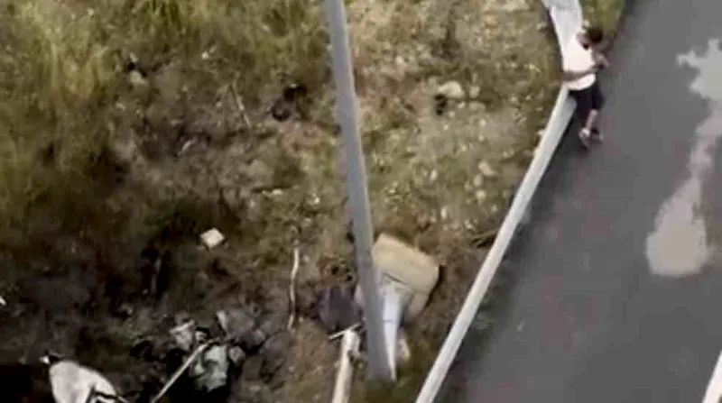 Mersin'in Tarsus ilçesinde meydana gelen trafik kazasında otomobilin yol kenarındaki