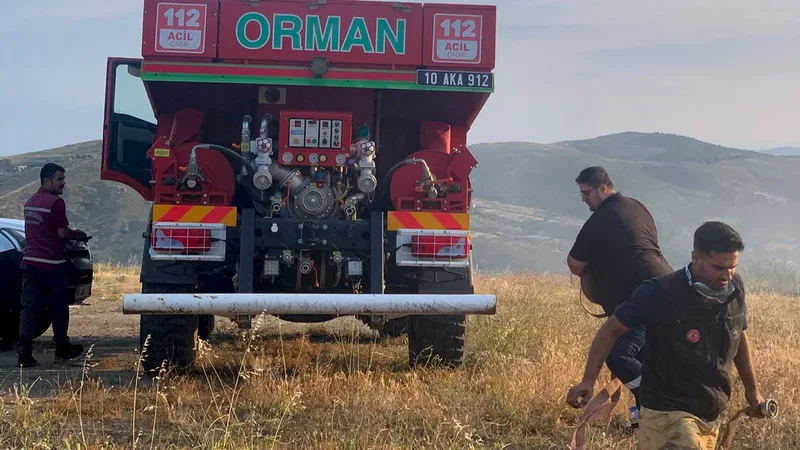 Balıkesir'e bağlı turizm merkezi Avşa Adası'nın Malikilik mevkiinde çıkan yangın,