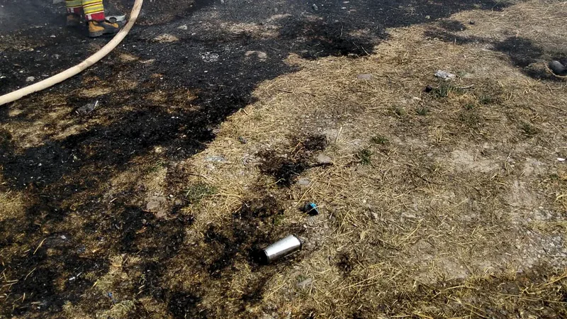 Ayvalık Küçükköy Mahallesi'nde bir evin bahçesinde ve depo olarak kullanılan