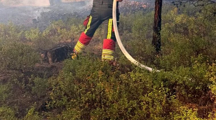 Balıkesir'in Ayvalık ilçesinde Sefa Çamlık kamp alanında çıkan orman yangını,
