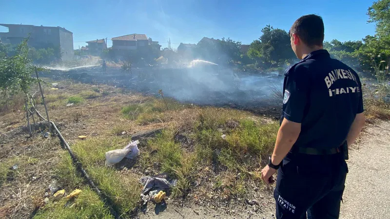 Balıkesir'in Altıeylül ilçesine bağlı Gümüşçeşme Mahallesi'nde boş bir arsada çıkan