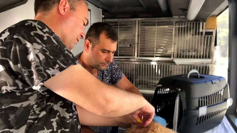 Balıkesir Büyükşehir Belediyesi'nin Can Dost Yerinde Hayvan Bakım ve Tedavi