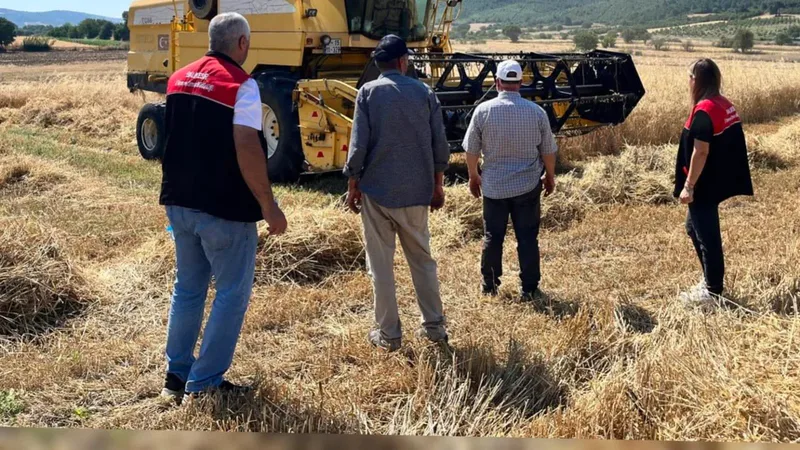 Balıkesir İl Tarım ve Orman Müdürlüğü, hasat sezonunda 20 ilçede