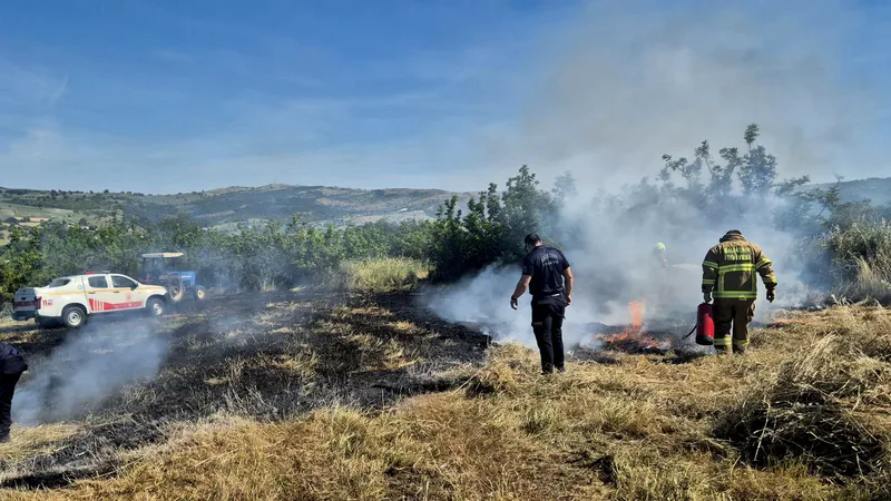 Balıkesir Susurluk Aziziye Mahallesi kırsalında traktörde çıkan yangın, rüzgarın etkisiyle