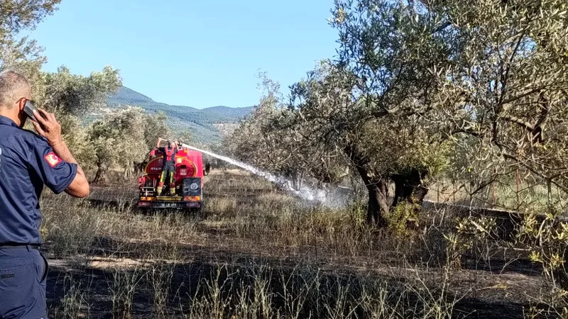 Balıkesir Ziraat Odası Başkanı Rahmi Demirbay, hava sıcaklıklarının 29 derecenin