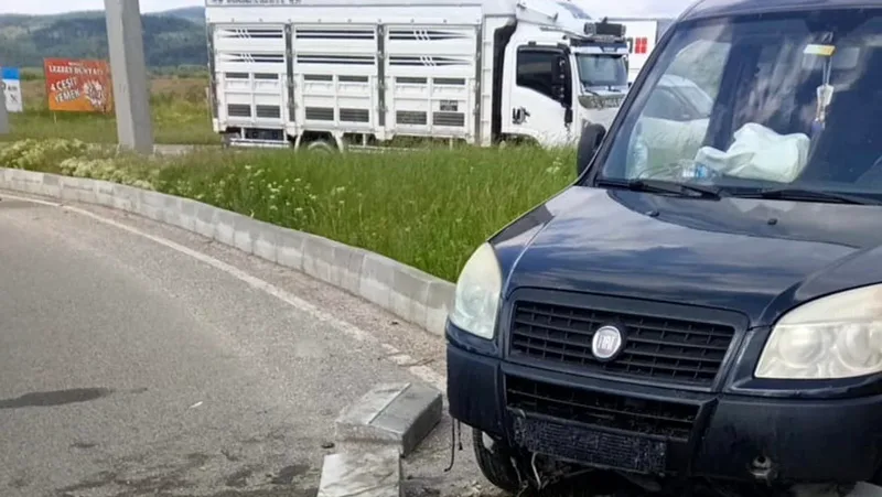 Bolu'da Yeniçağa-Mengen yol ayrımında direksiyon hâkimiyetini kaybeden hafif ticari araç