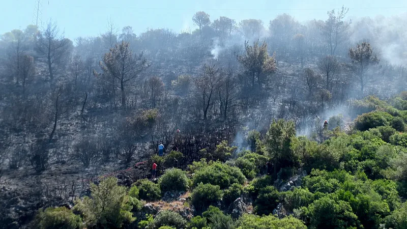 Balıkesir'in Burhaniye ilçesi Taylıeli Mahallesi kırsalında sabah saatlerinde çıkan orman