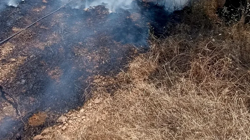 Balıkesir'in Burhaniye ilçesi İskele Mahallesi Adyar mevkiinde park halindeki otomobilde