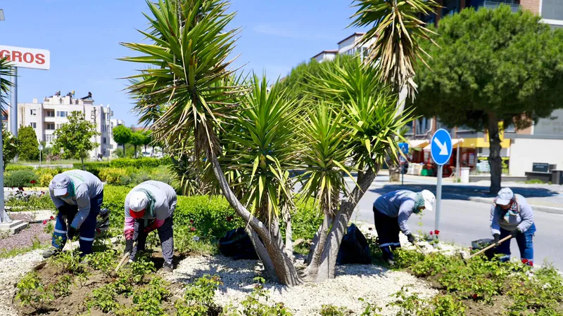 Burhaniye Belediyesi, yaz mevsimiyle birlikte park ve yeşil alanlarda kapsamlı