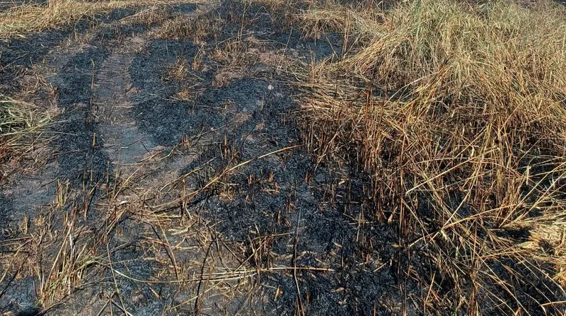 Balıkesir'in Dursunbey ilçesi Aktaşlar Mahallesi'nde çıkan arazi yangını, 10 araç