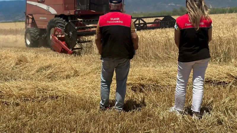 Edremit ilçesinde buğday hasat sezonu resmen başladı. İlçe Tarım ve