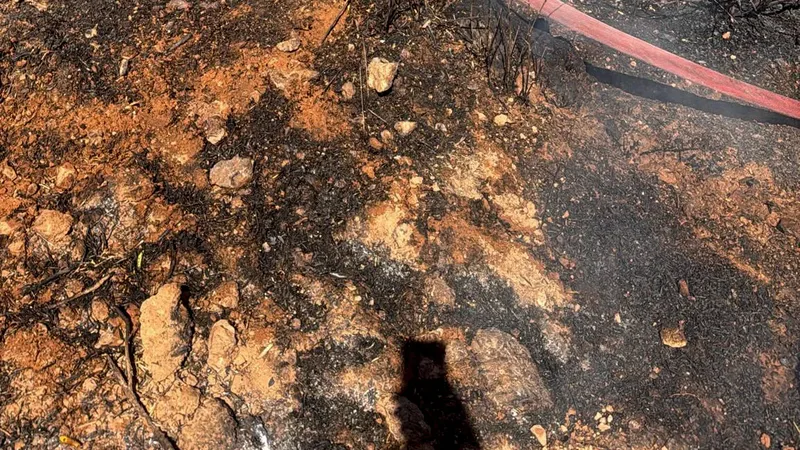 Balıkesir'in Edremit ilçesi Avcılar Mahallesi'nde zeytinlik alanda çıkan orman yangını,