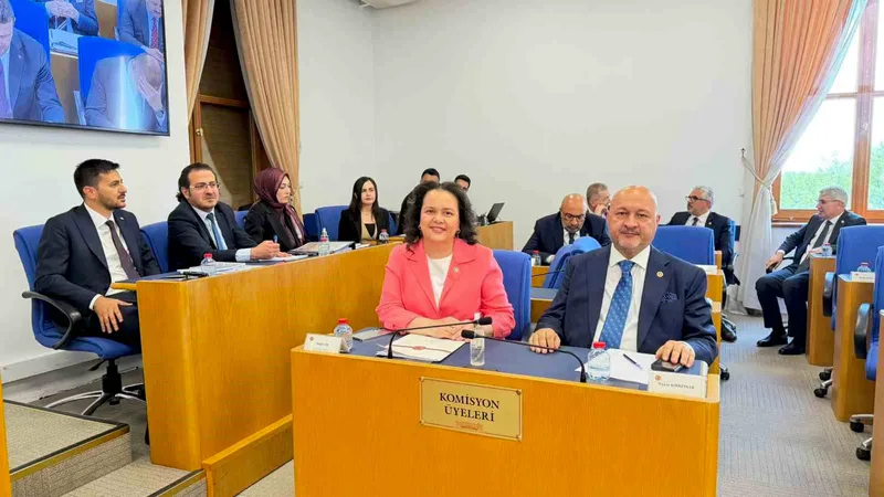 Emniyet Teşkilatı, vergi ve basın alanlarını kapsayan kanun teklifinin görüşmeleri