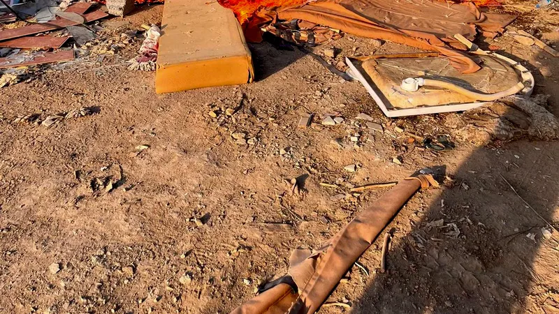 Balıkesir'in Gömeç ilçesi Dursunlu Mahallesi kırsalındaki çöp döküm sahasında çıkan