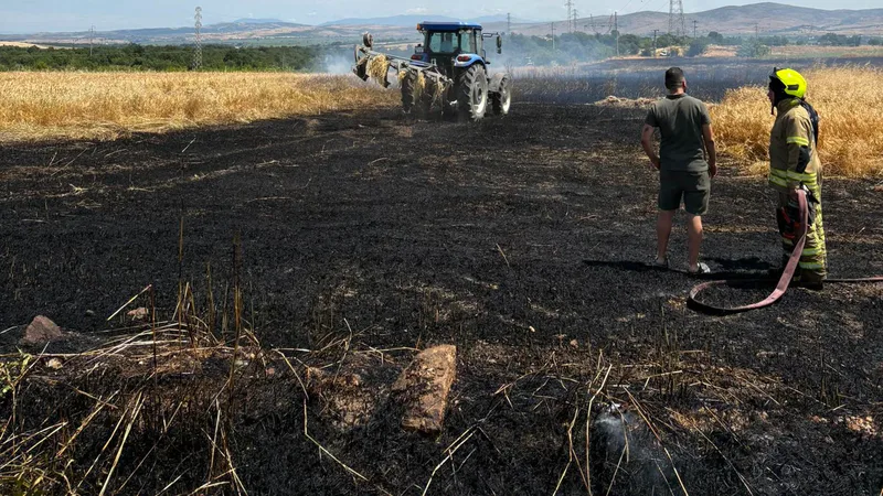 Balıkesir'in Gönen ilçesi Hasanbey Mahallesi kırsalında çıkan arpa tarlası yangınında