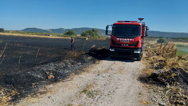 Gönen ilçesine bağlı Osmanpazar Mahallesi'nde hasat öncesi buğday tarlasında çıkan
