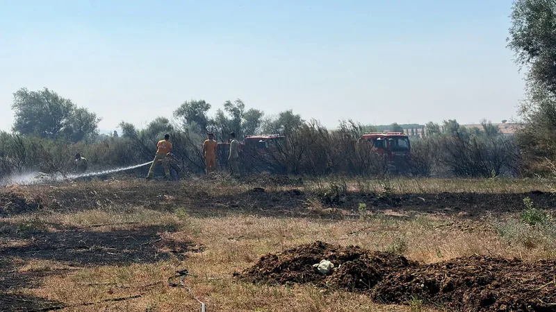 Kepsut Hotaşlar Mahallesi'nde meydana gelen arazi yangını, orman ve itfaiye