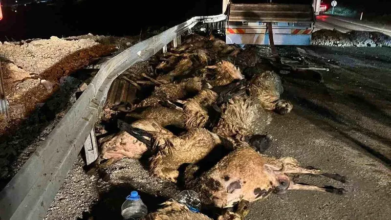 Erzincan'ın İliç ilçesinde seyir halindeki tırın kontrolden çıkması sonucu meydana