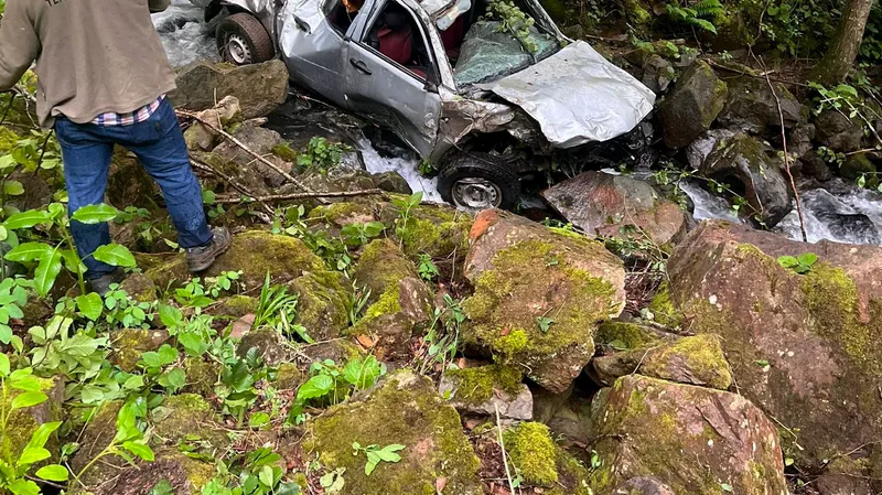 Ordu Ulubey'de bahçede manevra yapan kamyonet kontrolden çıkarak 350 metrelik