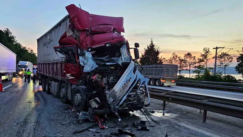 Anadolu Otoyolu Sakarya geçişinde bir kamyon, önündeki canlı tavuk yüklü