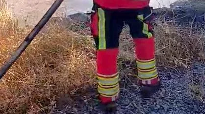 Sındırgı ilçesi Armutlu Mahallesi kırsalında otluk ve ormanlık alanda çıkan