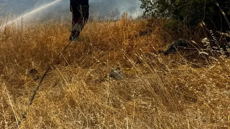 Balıkesir'in Altıeylül ilçesine bağlı Deliktaş Mahallesi'nde çıkan anız yangını, rüzgarın