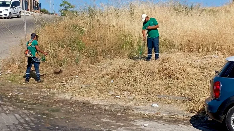 Ayvalık Belediyesi Park ve Bahçeler Müdürlüğü ekipleri, yaz aylarında artan
