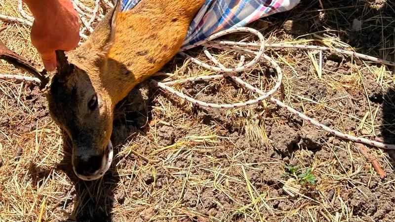 Altıeylül ilçesine bağlı Kozören Mahallesi'nde yaklaşık 9 metre derinliğindeki kuyuya