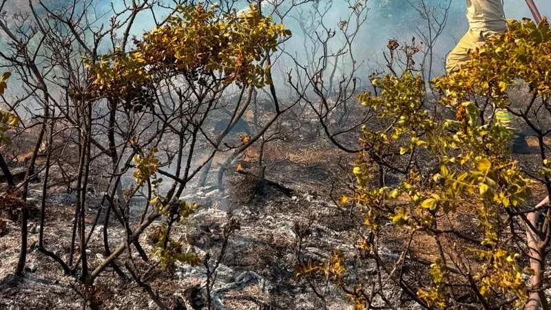 Balıkesir'in farklı ilçelerinde bir gün içinde peş peşe çıkan 7