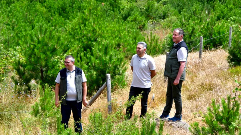 Balıkesir Orman Bölge Müdürlüğü, Sındırgı Orman İşletme Müdürlüğü sınırları içinde