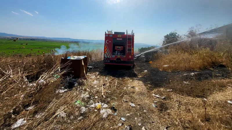 Balıkesir'in Manyas ilçesine bağlı Eşen Mahallesi kırsalında otluk alanda çıkan