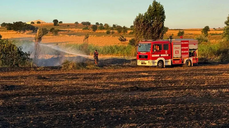 Bandırma'nın Akçapınar Kırsal Mahallesi'nde ekili buğday tarlasında çıkan yangın, itfaiye