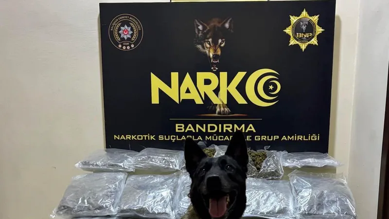 Balıkesir'in Bandırma ilçesinde narkotik ekiplerinin gerçekleştirdiği operasyonda, narkotik köpeği Dark'ın