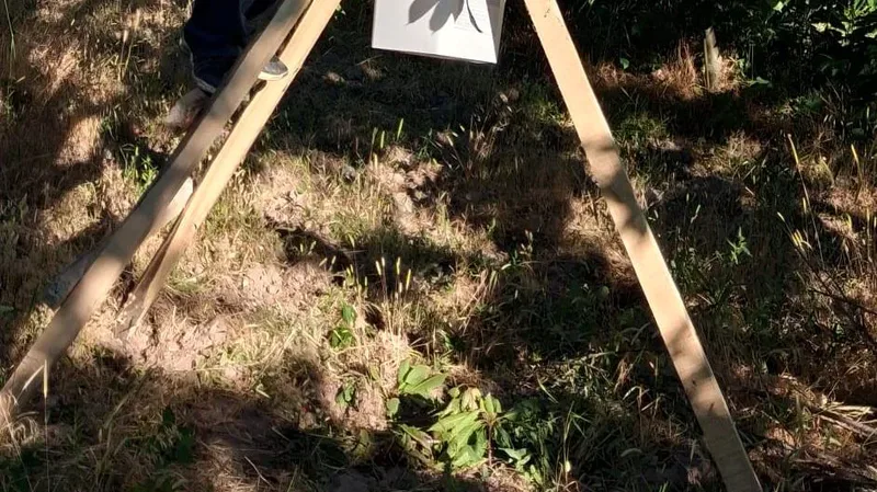 Balıkesir'in Bigadiç ilçesinde Ulus dağı eteklerinde yetiştirilen kaliteli kirazı satamayan