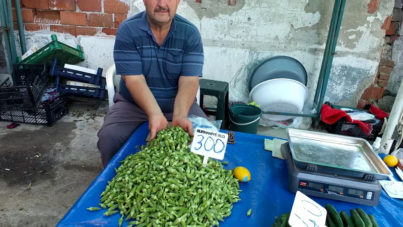 Burhaniye ilçesinde bamya fiyatları 200 ile 300 lira arasında satılırken,